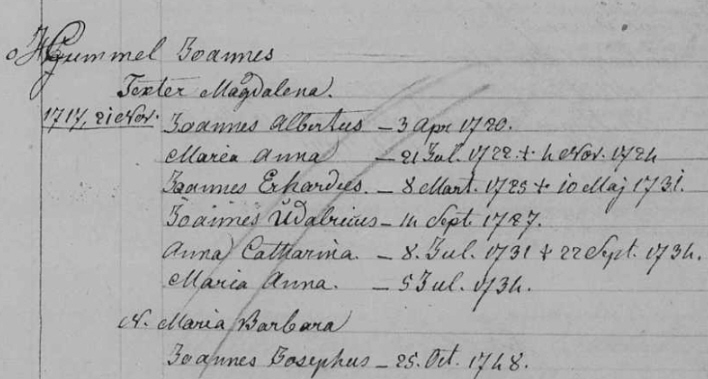 Familienregister Leimersheim; Film-Nr. 247635, Aufn.Gr.Nr. 810846