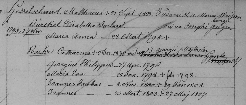 Familienregister Leimersheim; Film-Nr. 247635, Aufn.Gr.Nr. 810846