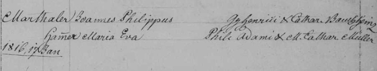 Familienregister Leimersheim, Film-Nr. 247635; Aufnahme_Gr. Nr. 810846