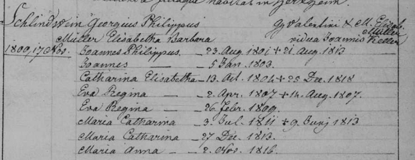 Familienregister Leimersheim; Film-Nr. 247 635; Aufnahmegruppe_Nr. 810 8546