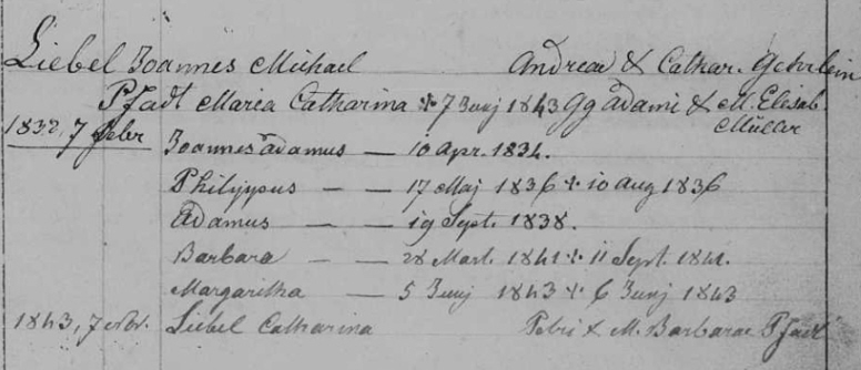 Familienregister Leimersheim; Film-Nr. 247635; Aufn.Gruppe-Nr. 810846